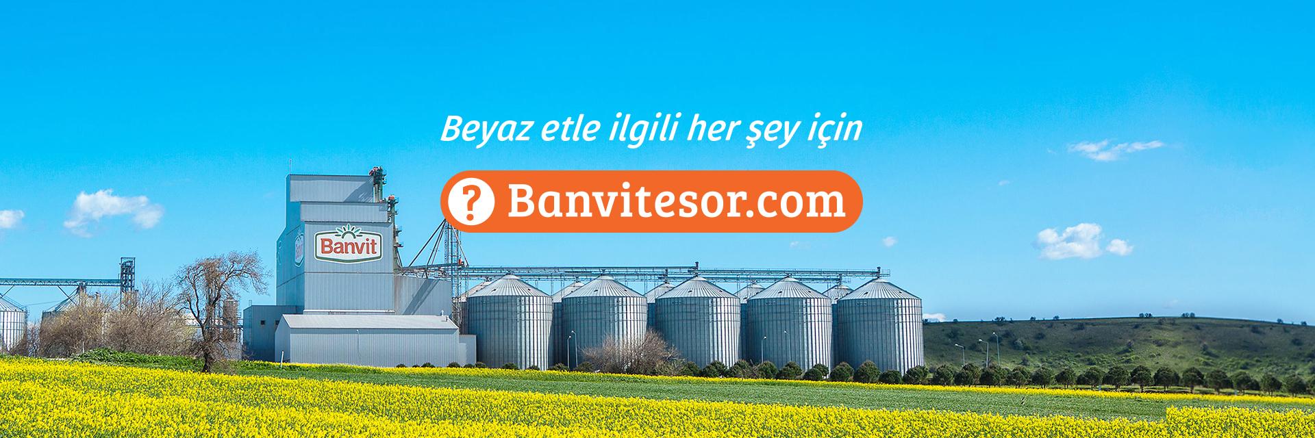 banvitesor-banner