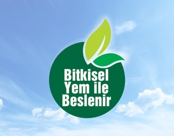 Tavuk veya Hindilerin yemleri bitkisel mi yoksa sakatatlardan mı üretiliyor?